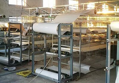 自動采食器的優(yōu)點(diǎn)