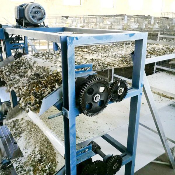 鴿子清糞機(jī)